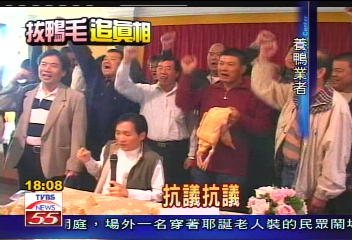 沒有瀝青鴨！　鴨滯銷業者抗議