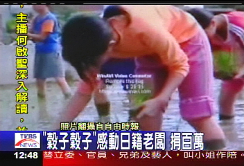 特別寒假作業! 國小生體驗種稻樂