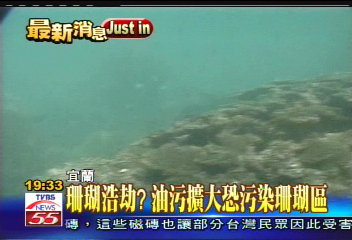 珊瑚浩劫?油污擴大恐污染珊瑚區