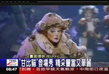 「甘比貓」登場秀　精采豐富又華麗