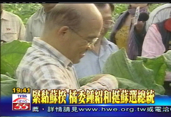 緊黏蘇揆 橘委鍾紹和挺蘇選總統