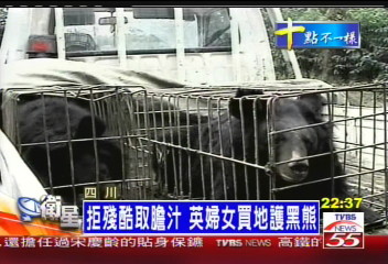 拒殘酷取膽汁　英婦女買地護黑熊