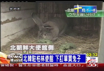 饑荒嚴重想奇招 北韓養兔子解決