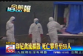 禽流感又來? 宮崎縣750雞暴斃