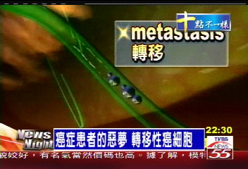 治癒後隨時恐復發 癌症無解藥?