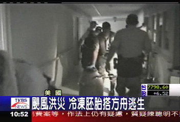 颶風洪災 冷凍胚胎搭方舟逃生