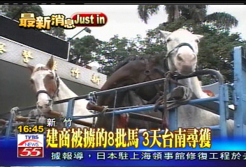 建商被擄的8匹馬 3天台南尋獲