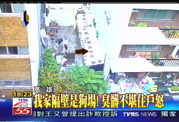 〈獨家〉我家隔壁是狗場! 臭髒不堪住戶怒