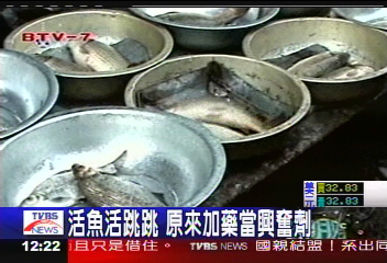 活魚活跳跳 泡「砒霜水」當興奮劑