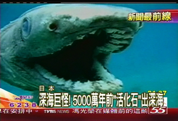 深海巨怪！　史前「皺鰓鯊」日現蹤