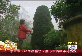 【一步一腳印】南庄山中咖啡館 沐浴大自然饗宴