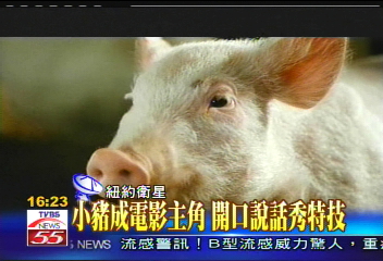 小豬成電影主角 開口說話秀特技