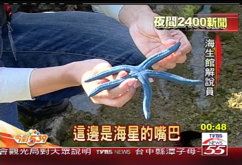 恆春另類遊　提燈籠夜探海生館