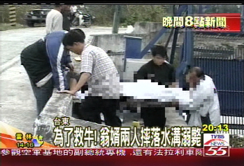 為了救牛! 翁婿2人摔落水溝溺斃