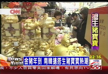 金豬年到 南韓搶搭生豬寶寶熱潮