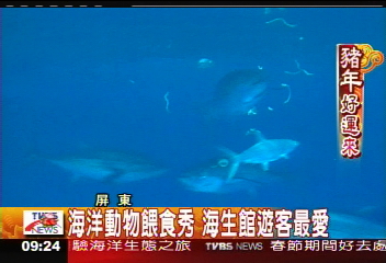 海洋動物餵食秀 海生館遊客最愛