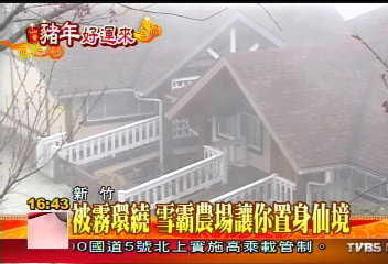 【迎金豬開好運】民宿溫泉特搜(二)