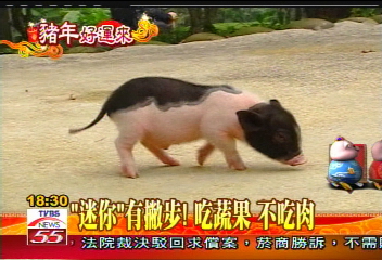 「迷你」有撇步! 吃蔬果不吃肉