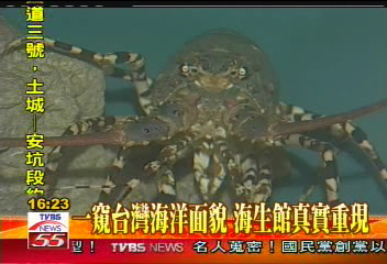 一窺台灣海洋面貌　海生館真實重現