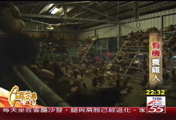 【一步一腳印】認真、好學、不放棄　有機牧草養雞人
