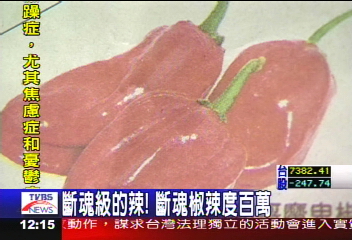 辣到穿舌 印度斷魂椒 世界第一
