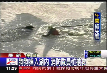狗狗掉入湖內 驚險救援全都錄