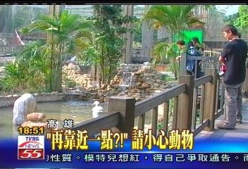 「再靠近一點？」　請小心動物