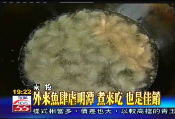 外來魚肆虐明潭 煮來吃也是佳餚
