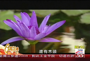 【一步一腳印】一份心一份力　社區變得不一樣！(上)