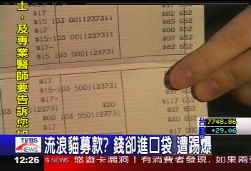 替流浪貓募款卻錢進口袋　網友踢爆