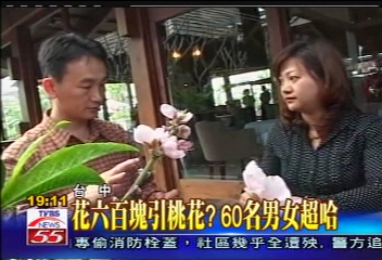 花6百元引桃花? 60名男女超哈