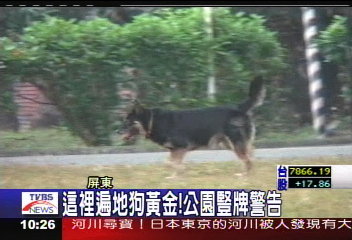 這裡遍地狗黃金! 公園豎牌警告