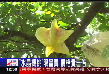 「水晶楊桃」限量賣　價格貴一倍