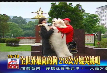 全世界最高的狗 218公分媲美姚明