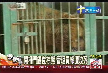鱷魚傷人/開柵門餵食棕熊 管理員慘遭咬死