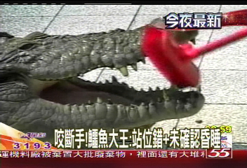 鱷魚傷人／鱷咬斷手！　鱷魚大王：作業流程疏失