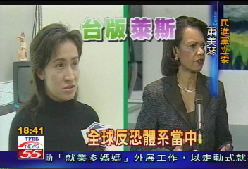 玉山兵推／演台灣版萊斯　蕭美琴兵推考官員