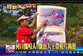 鱷魚傷人/河口鱷咬人! 鱷魚大王帶照片踢館