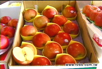 紐西蘭蘋果有「蠹蛾」 即日起禁進口