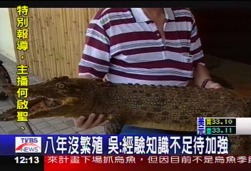 鱷魚傷人/鱷魚咬人又中槍 主人出面嘆無奈