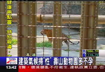 動物掃「性」? 壽山動物園多不孕