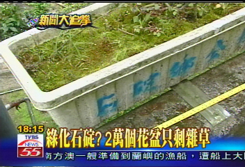 綠化石碇? 2萬個花盆只剩雜草