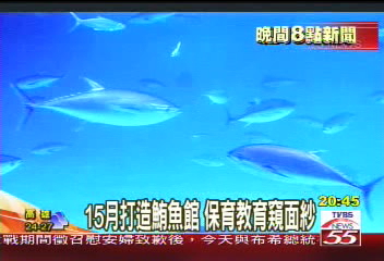 15月打造鮪魚館　保育教育窺面紗