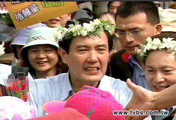 土城桐花季　馬英九跳舞剛中帶媚