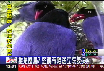 誰是國鳥? 藍鵲帝雉送立院表決