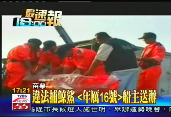 違法捕鯨鯊 「年厲16號」船主送辦
