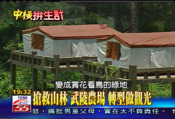 【中橫拚生計】配合國土復育　武陵農場棄耕返林