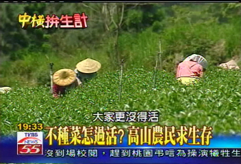 【中橫拚生計】不種菜怎過活? 高山農民求生存