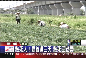 日正當中割牧草 80歲農民熱死