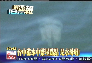 台中港水中繁星點點　是水母啦！